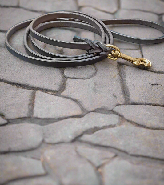 6×3/8" obedience leash