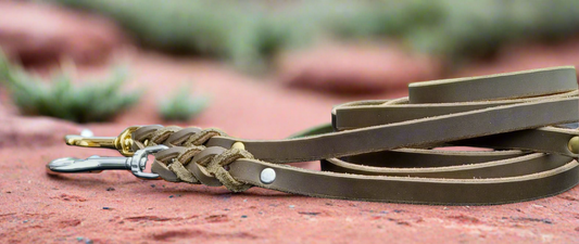 Olive green obedience leash