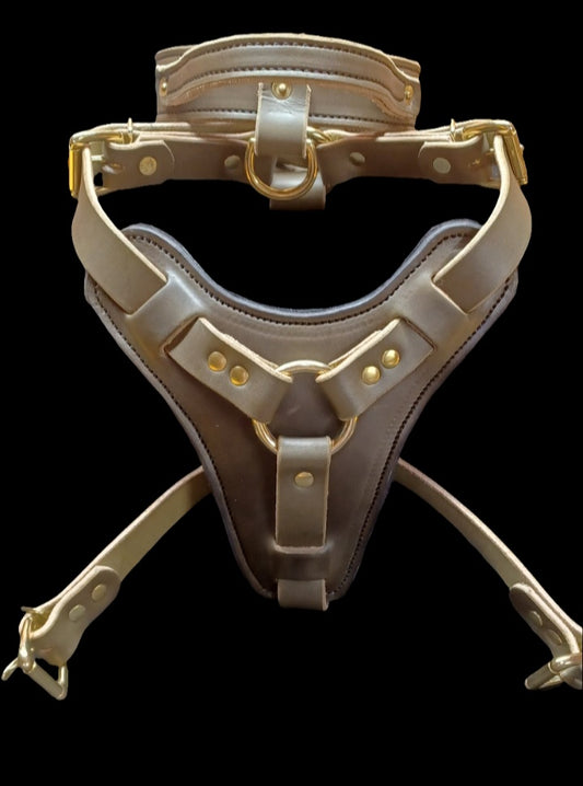 Olive green agitation harness