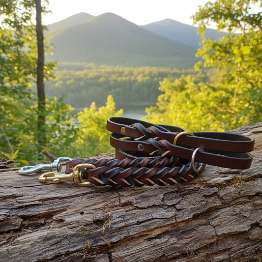 4' × 5/8"  braided brown leash