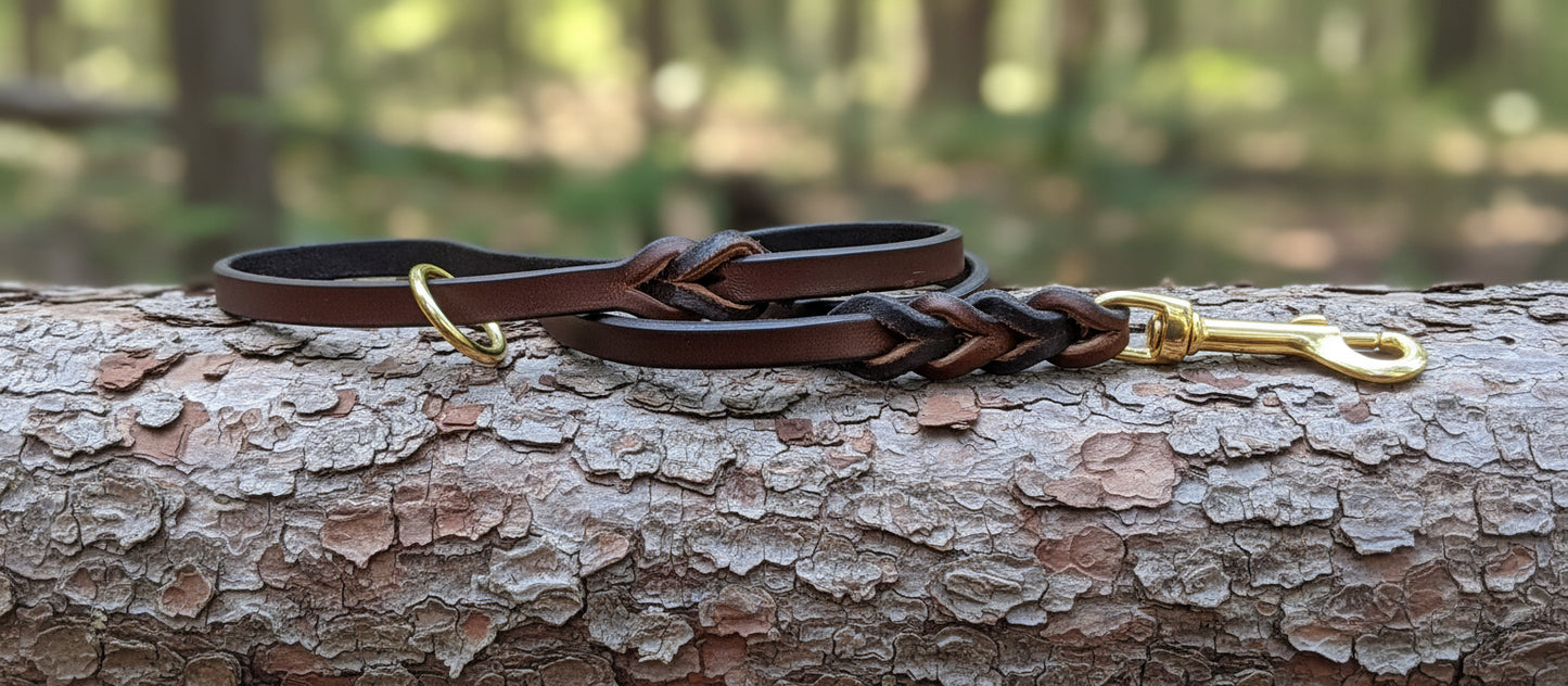 3' × 3/8" trial leash with ring