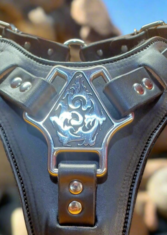 Black leather agitation harness