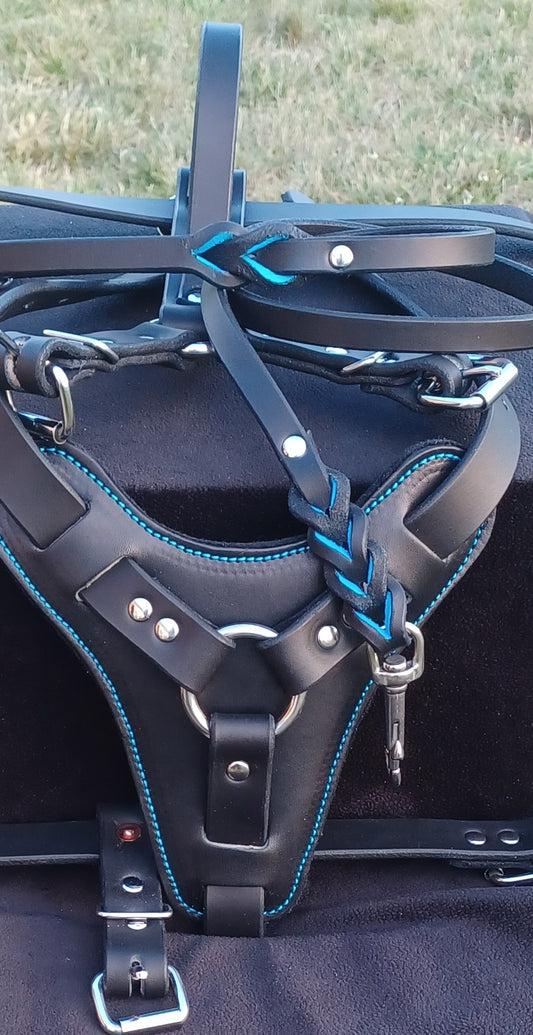 Agitation harness
