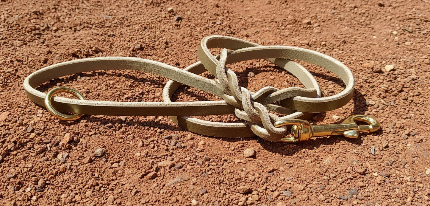 3' × 3/8" trial leash with ring