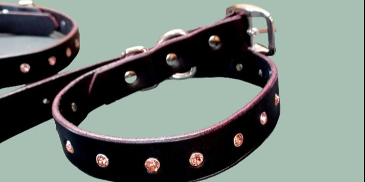 Crystal  dog collar