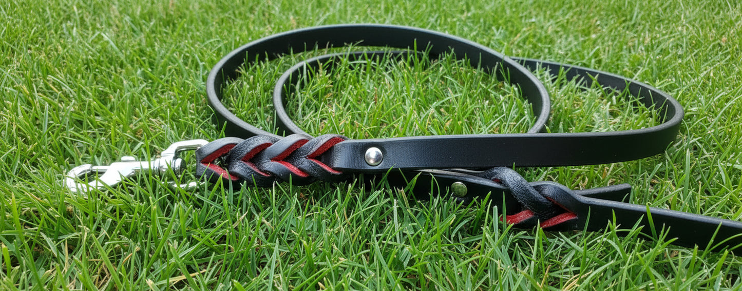 6' × 5/8" red and black leash