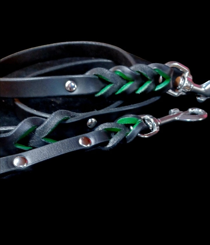 4' × 5/8" leash and training tab set