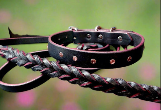 Crystal  dog collar