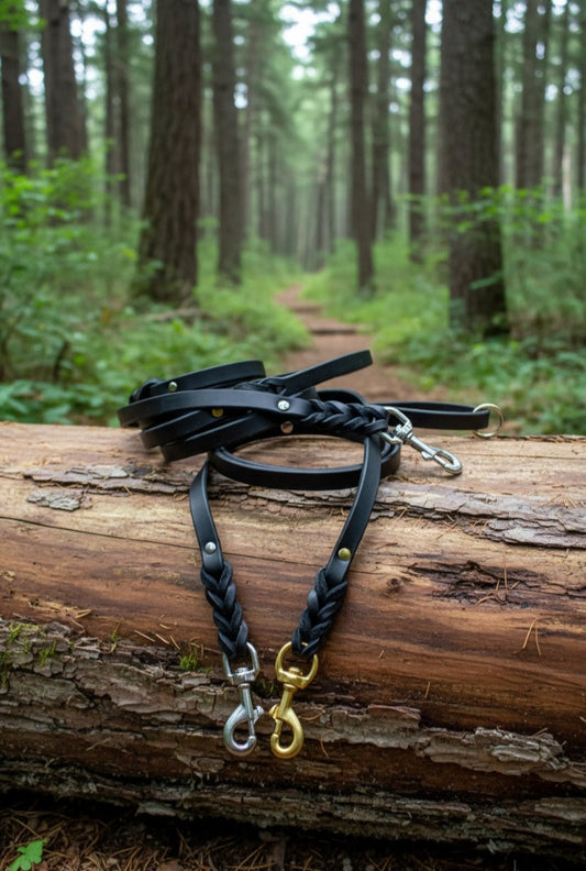 black braided leash