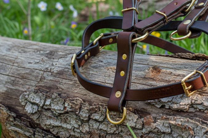 Tracking harness