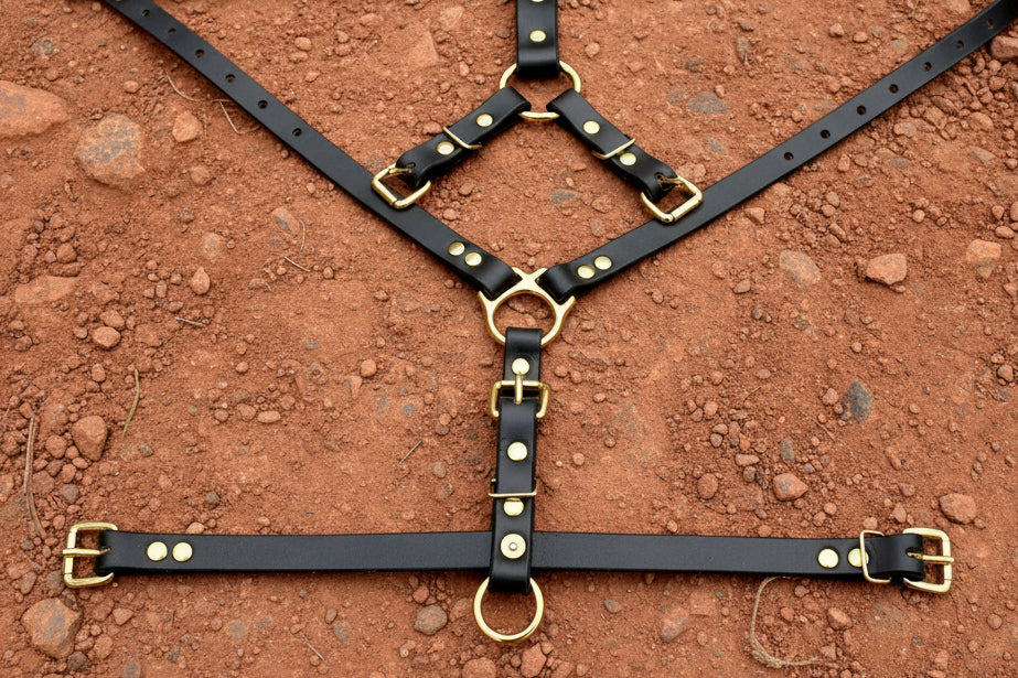 Tracking harness