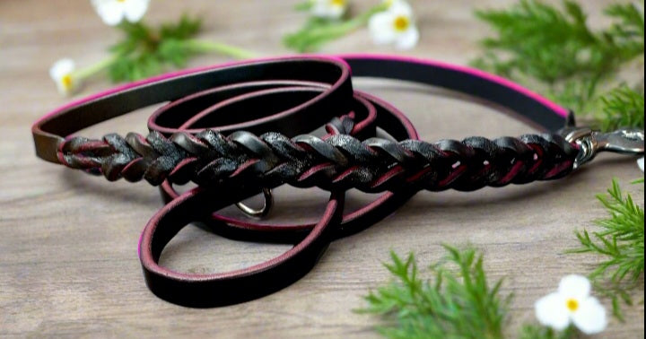 Crystal  dog collar