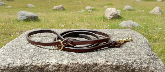 5' × 3/8 brown leash