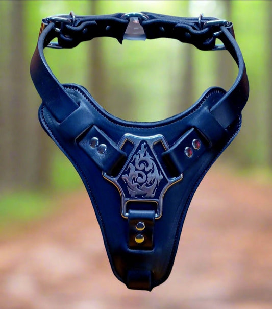 Black leather agitation harness