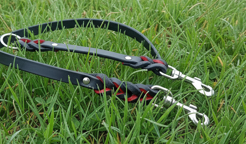 4' × 5/8" leash and training tab set