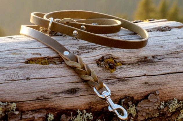 Olive green obedience leash