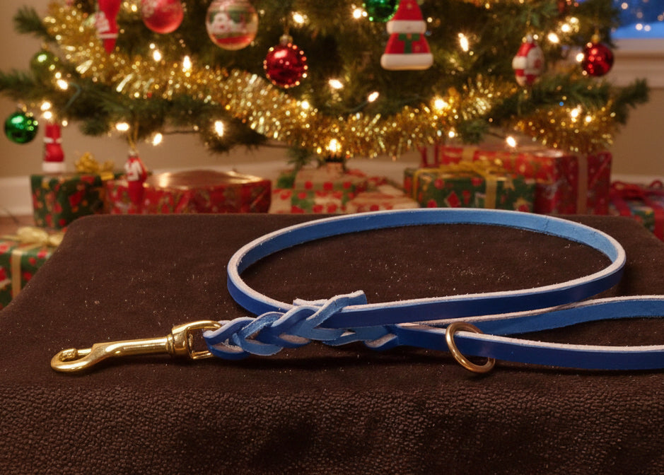 3' × 3/8" trial leash with ring
