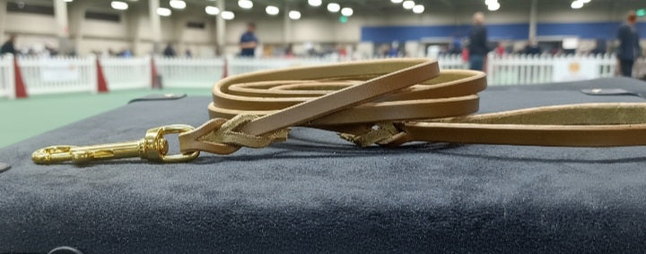 Skinny  braided  leash